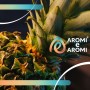 AROMA ANANAS MATURO