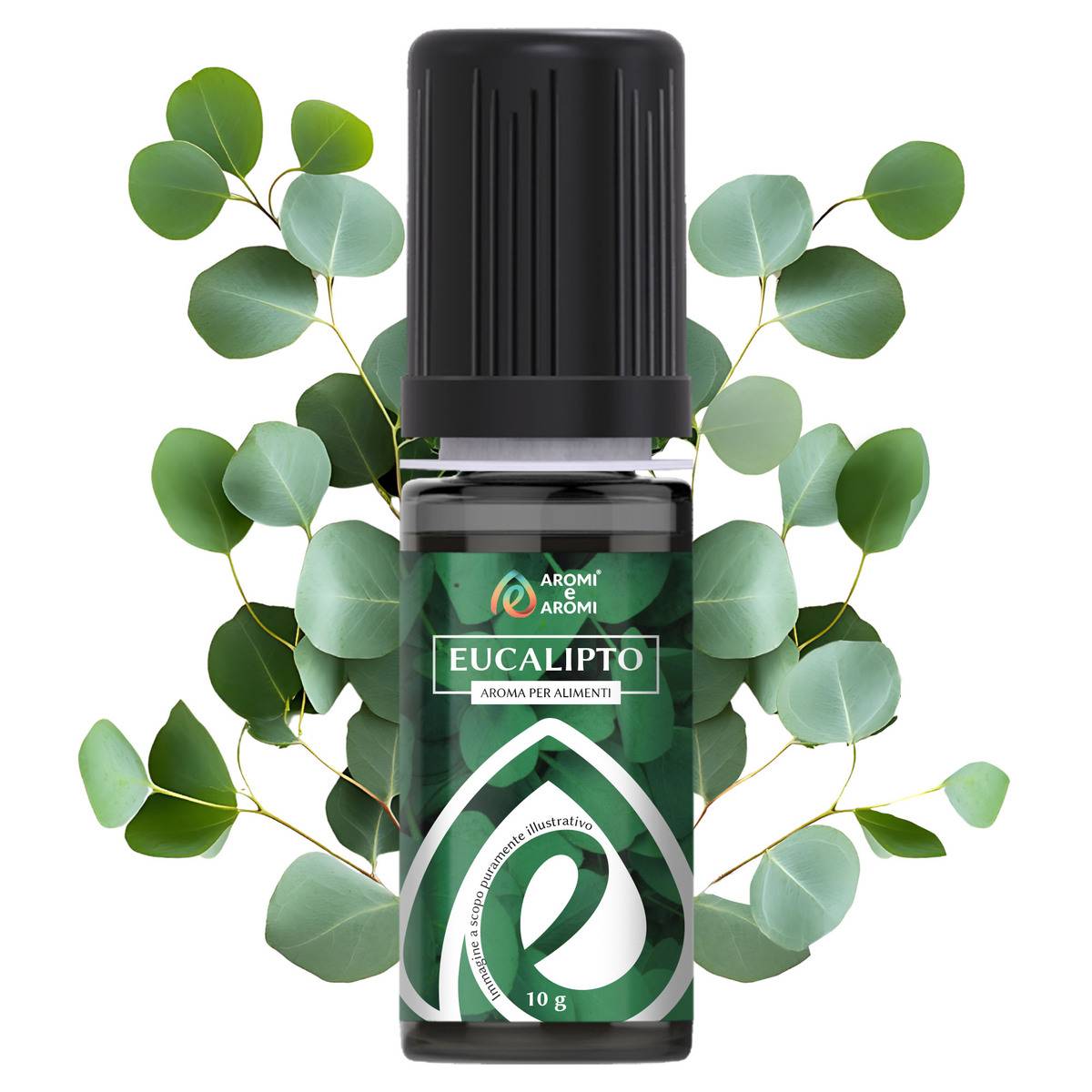 Aroma Eucalipto 10g - Aromi e Aromi