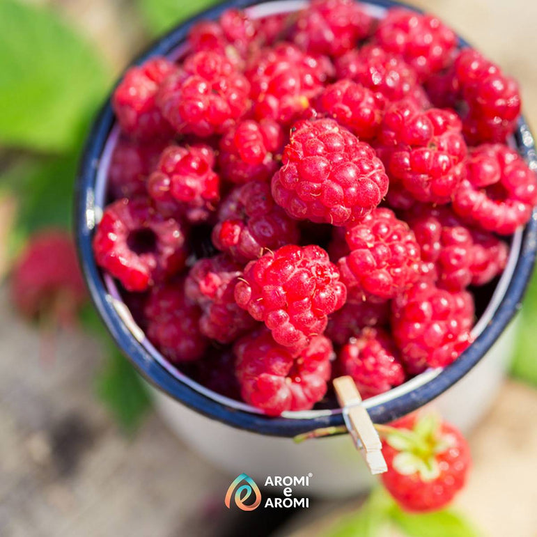 Aroma Lampone alimentare concentrato Made in Italy