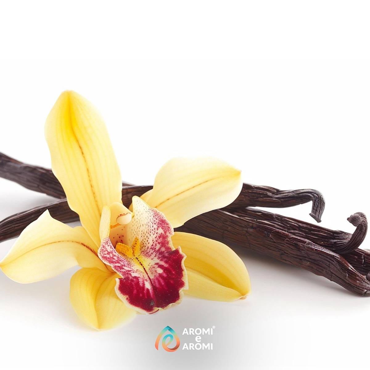 Aroma Vaniglia alimentare concentrato Made in Italy